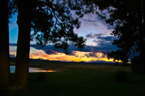 horizon-sunset-pine-trees-swittersb-oregon