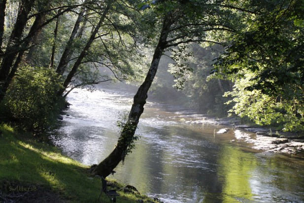 salmon river-oregon coast-solitude-SwittersB