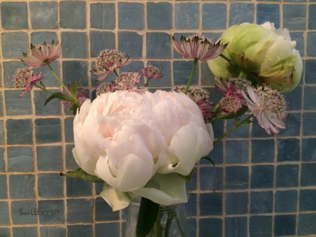 nostrana-bathroom flowers-SwittersB