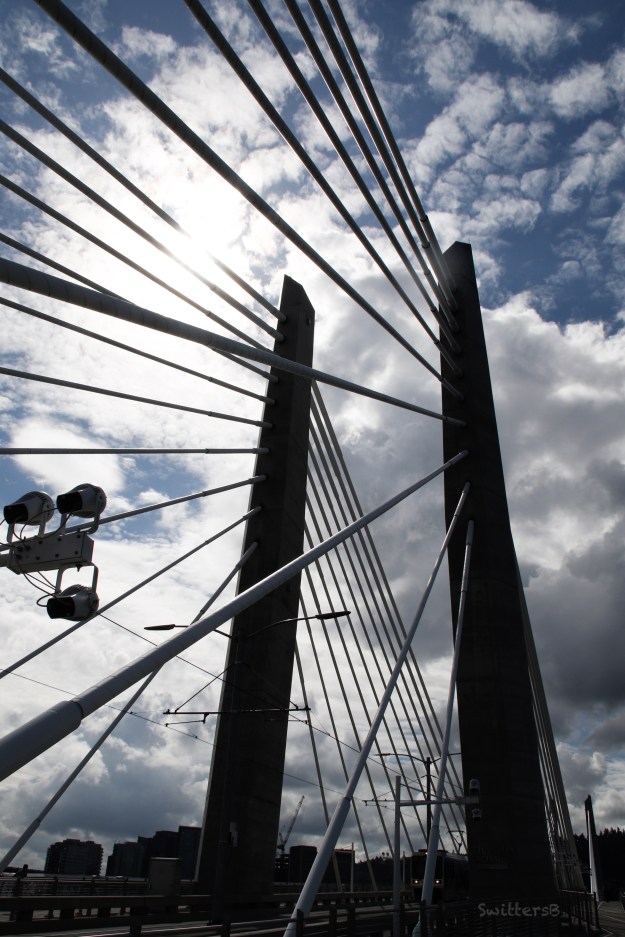 Tillicum Bridge-BDay-2017-SwittersB