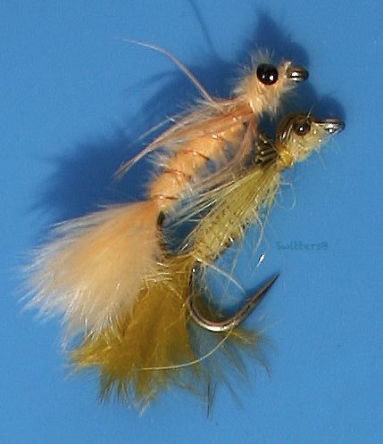 damsel fly love-spooning-SwittersB