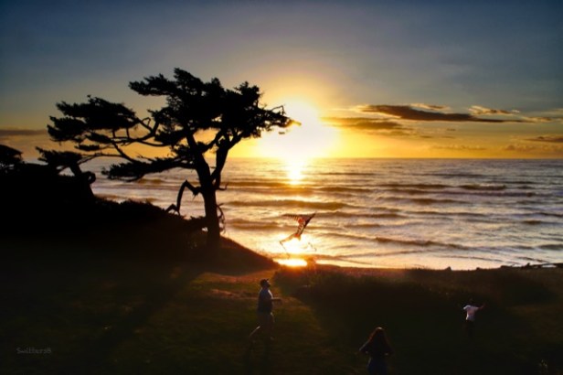 Sunset-flying kite-kids-SwittersB