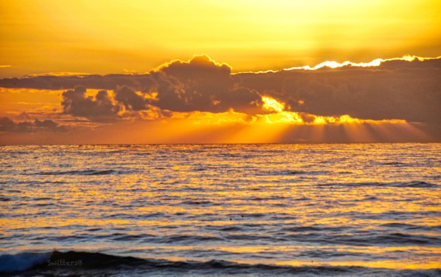 Sunset-sun rays-Oregon coast-SwittersB