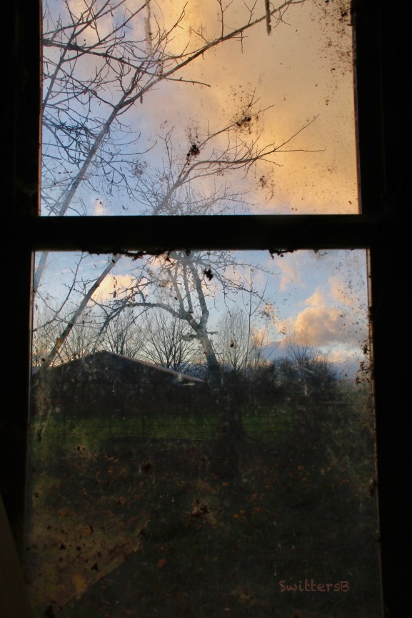 old shop window-dirty-SwittersB