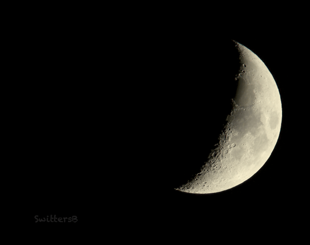 Quarter Moon-Pdx-Nov 24, 2017-SwittersB