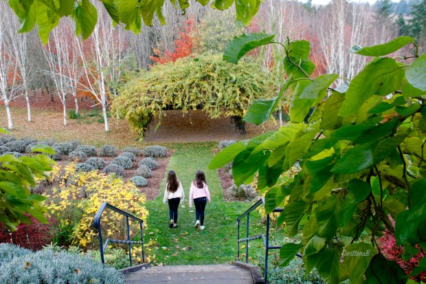 Twins-descending stairs-winery-SwittersB