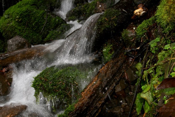 Waterfall-rocks-moss-log-SwittersB