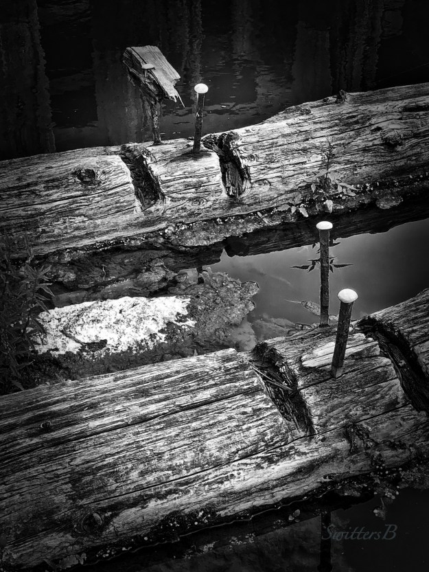 old dock-missing pieces-SwittersB