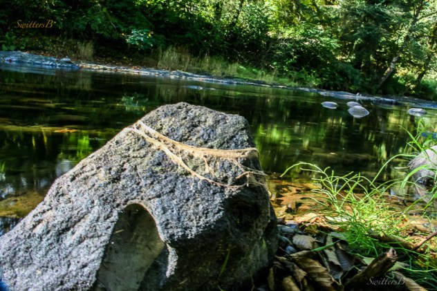 River-Boulder-high water mark-SwittersB