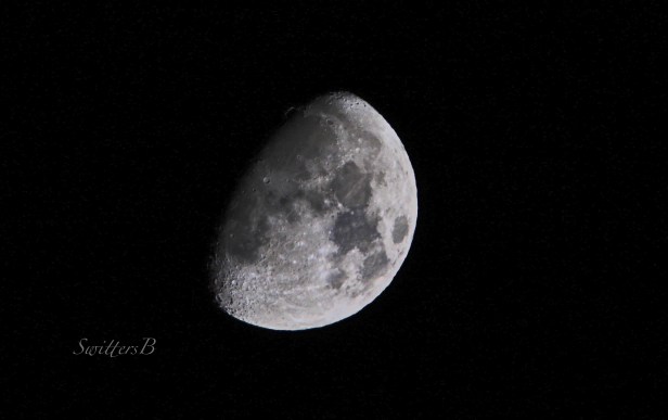 Waxing Moon-Nov 2018-SwittersB