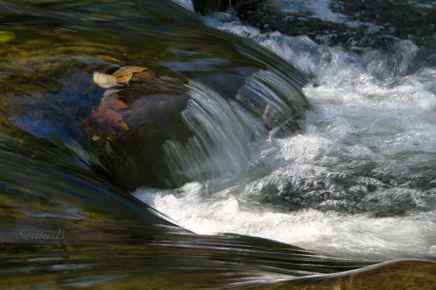 Rivers-Leaves-rapids-SwittersB