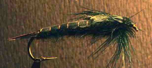 Stonefly Pattern-Backstrap-SwittersB