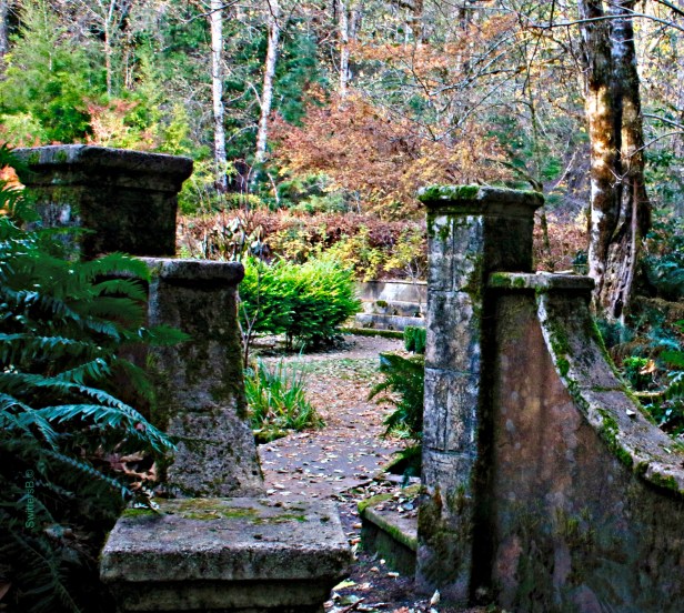 Secret Garden-Belknap-Oregon-SwittersB ©